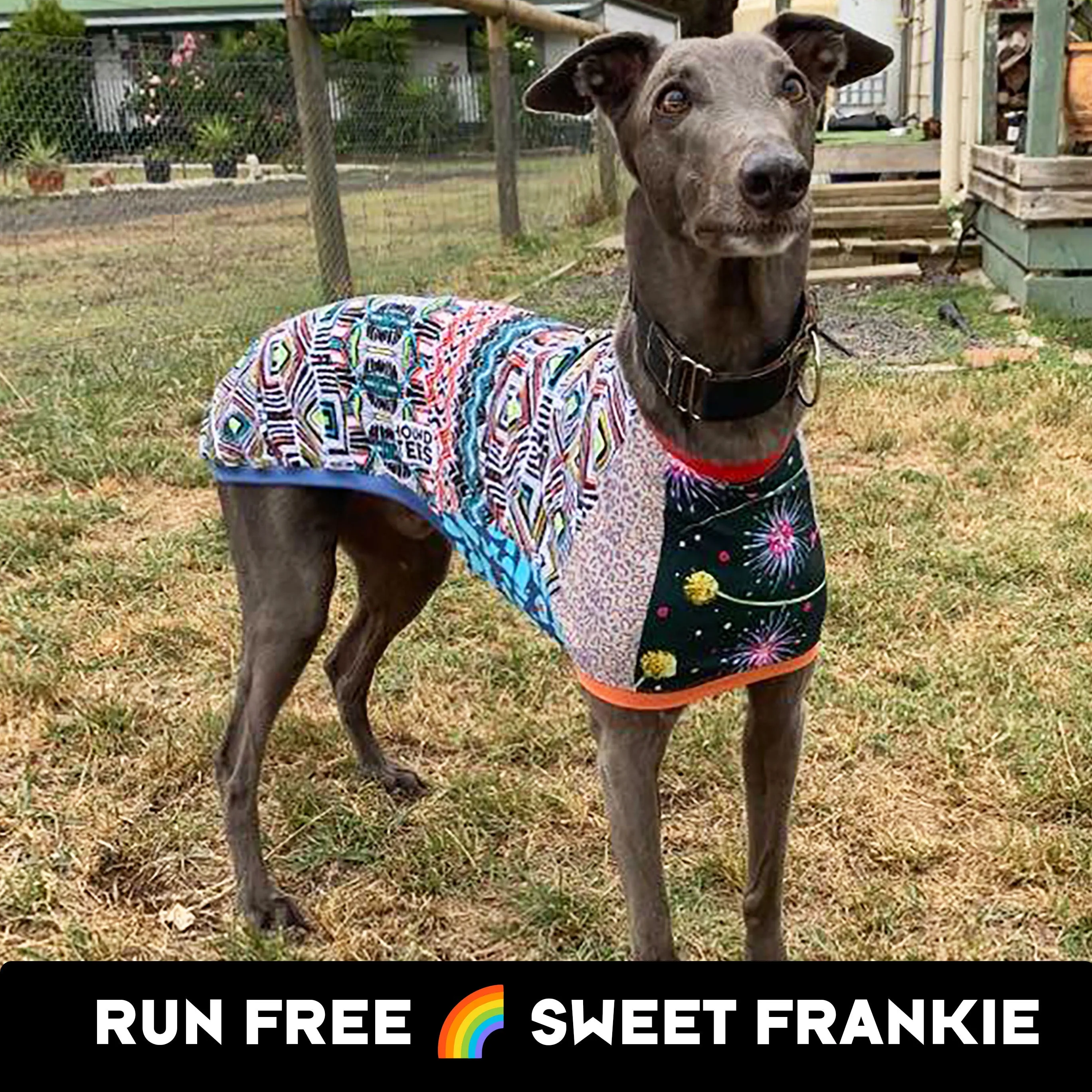 Frankie Greyhound Sleeveless Hound-Tee