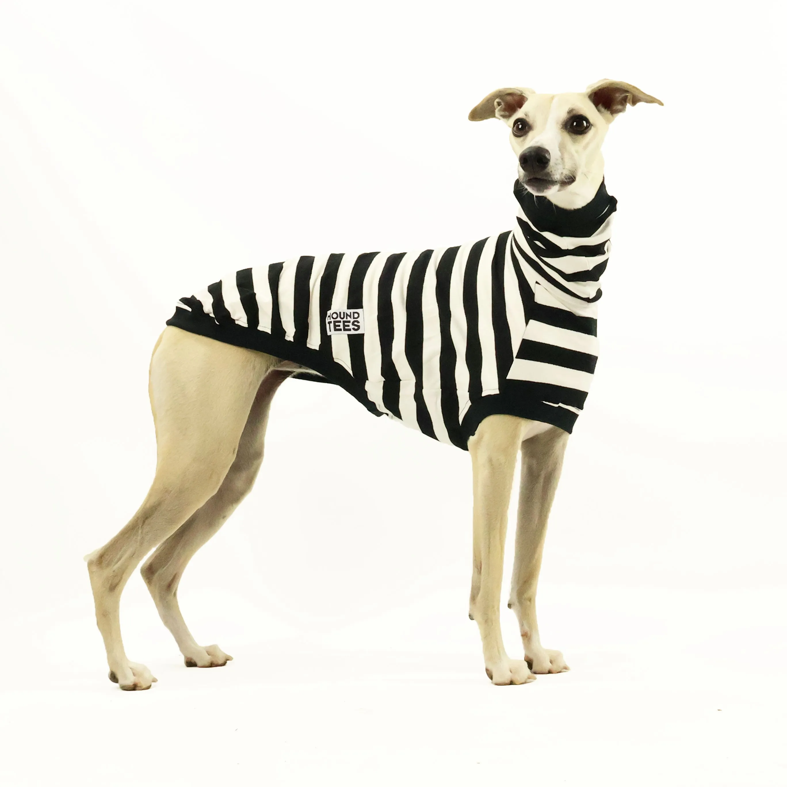 Jailbreak Whippet Sleeveless Hound-Tee